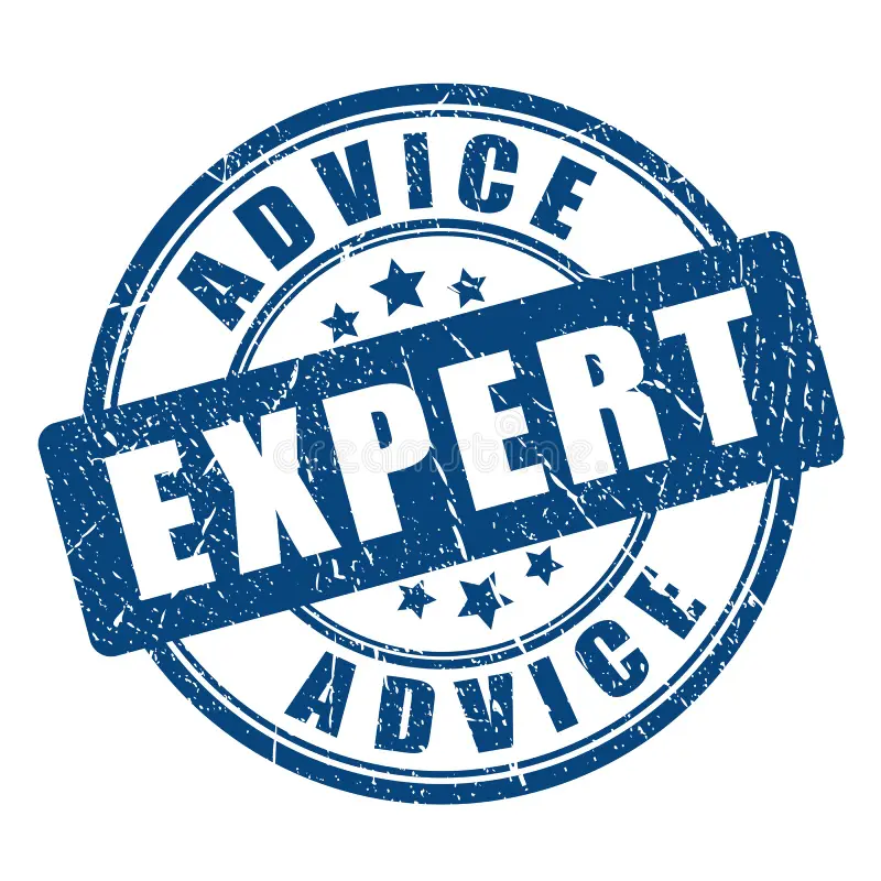 Expert guidance icon
